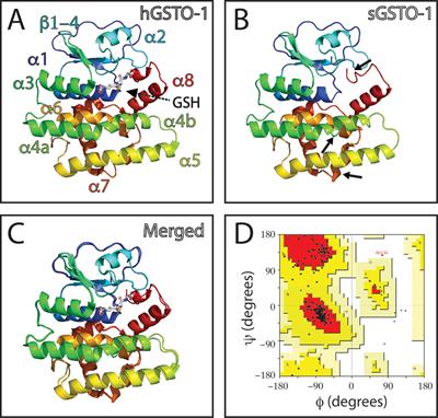 Single-Nucleotide Polymorphisms (SNP) Mining and Their Effect on the Tridimensional Protein Structure Prediction in a Set of Immunity-Related Expressed Sequence Tags (EST) in Atlantic Salmon (Salmo salar)